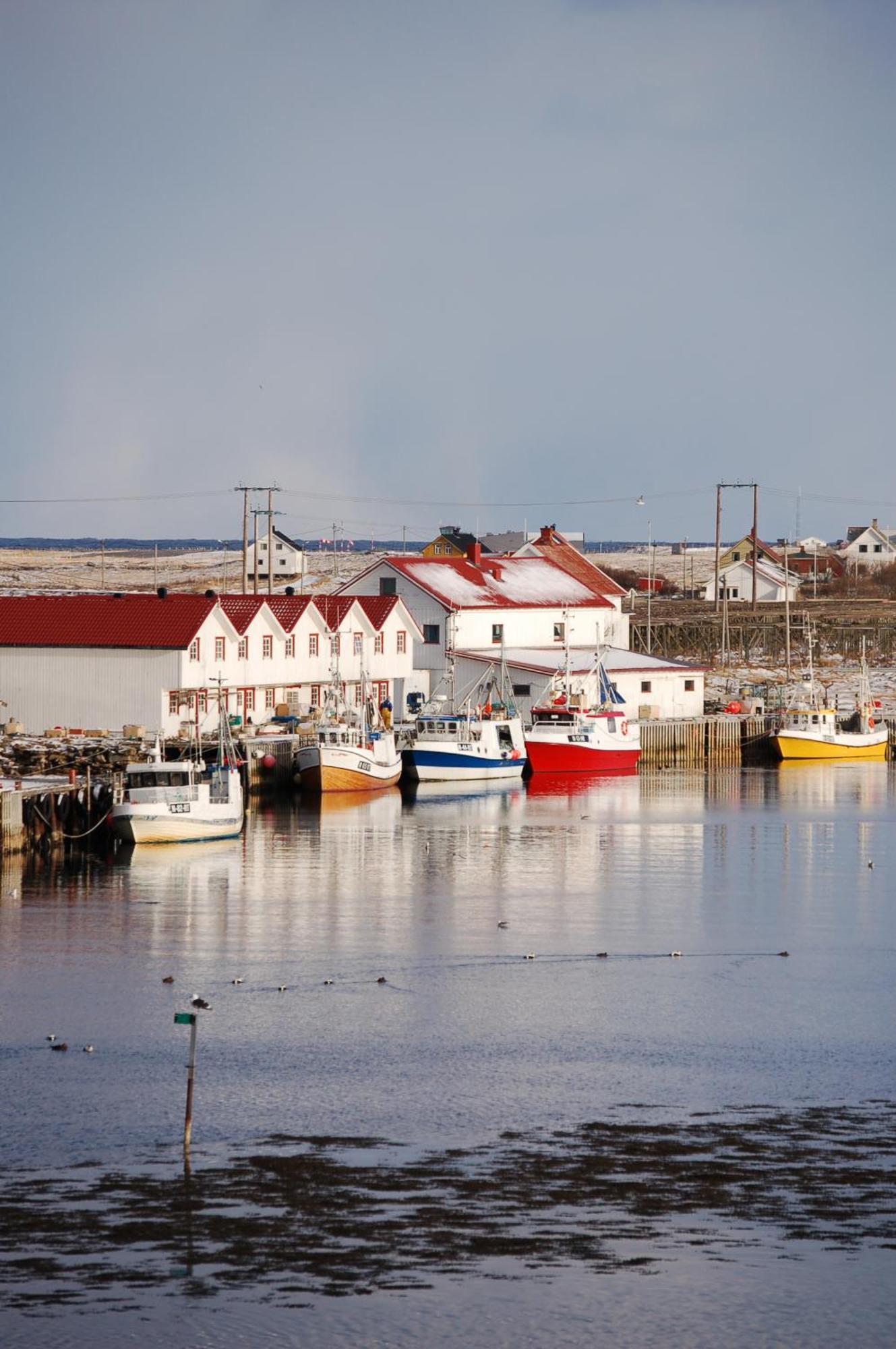 Hotel Fiskarheimen Havly, Røst Extérieur photo
