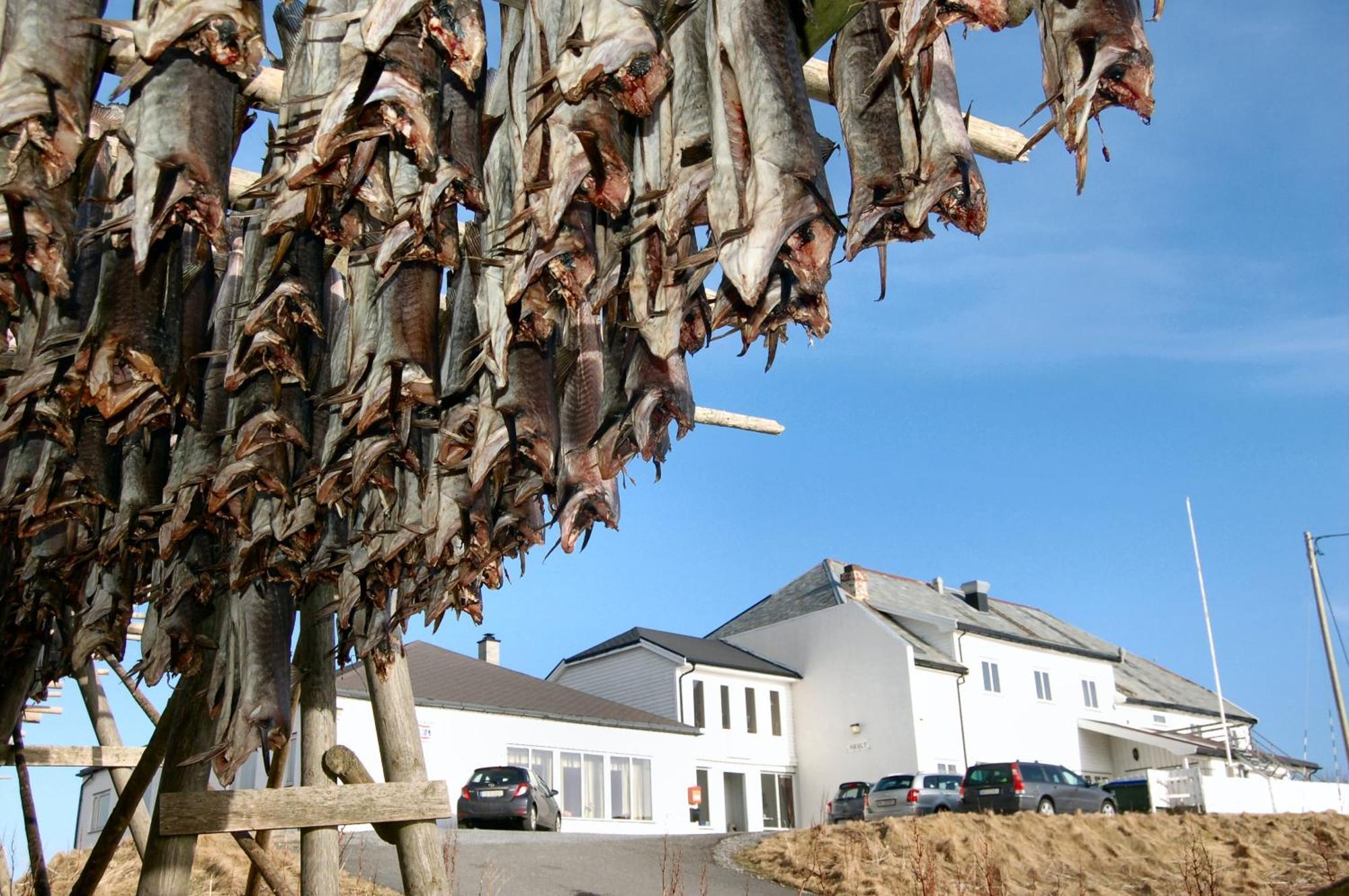 Hotel Fiskarheimen Havly, Røst Extérieur photo