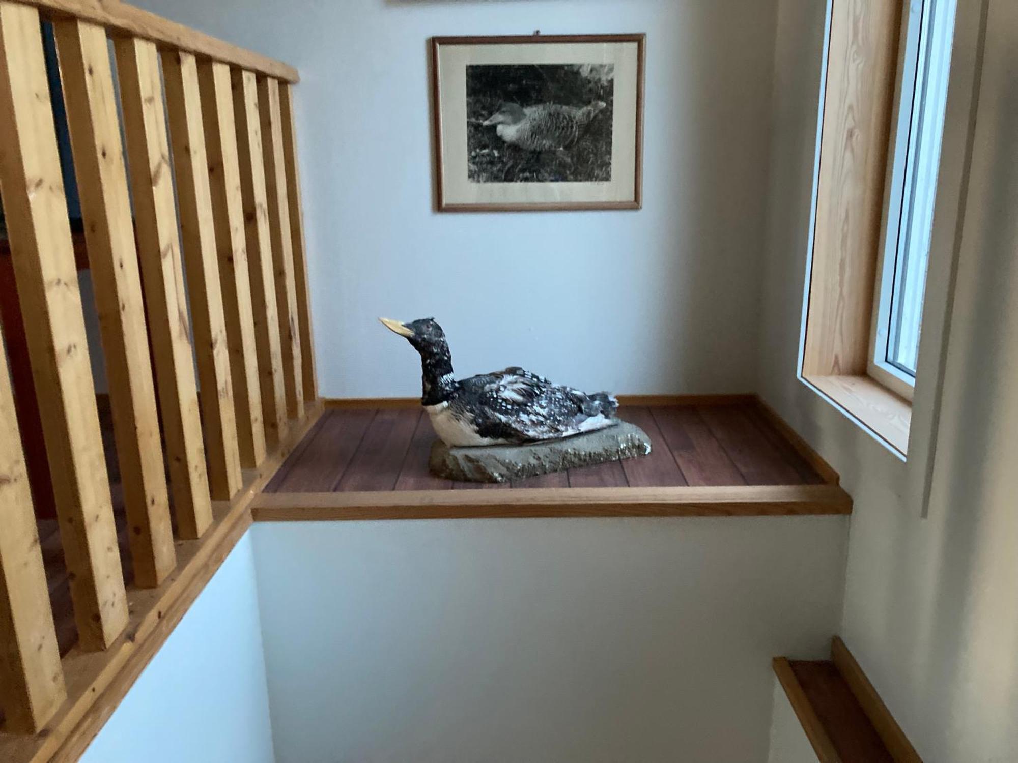 Hotel Fiskarheimen Havly, Røst Extérieur photo