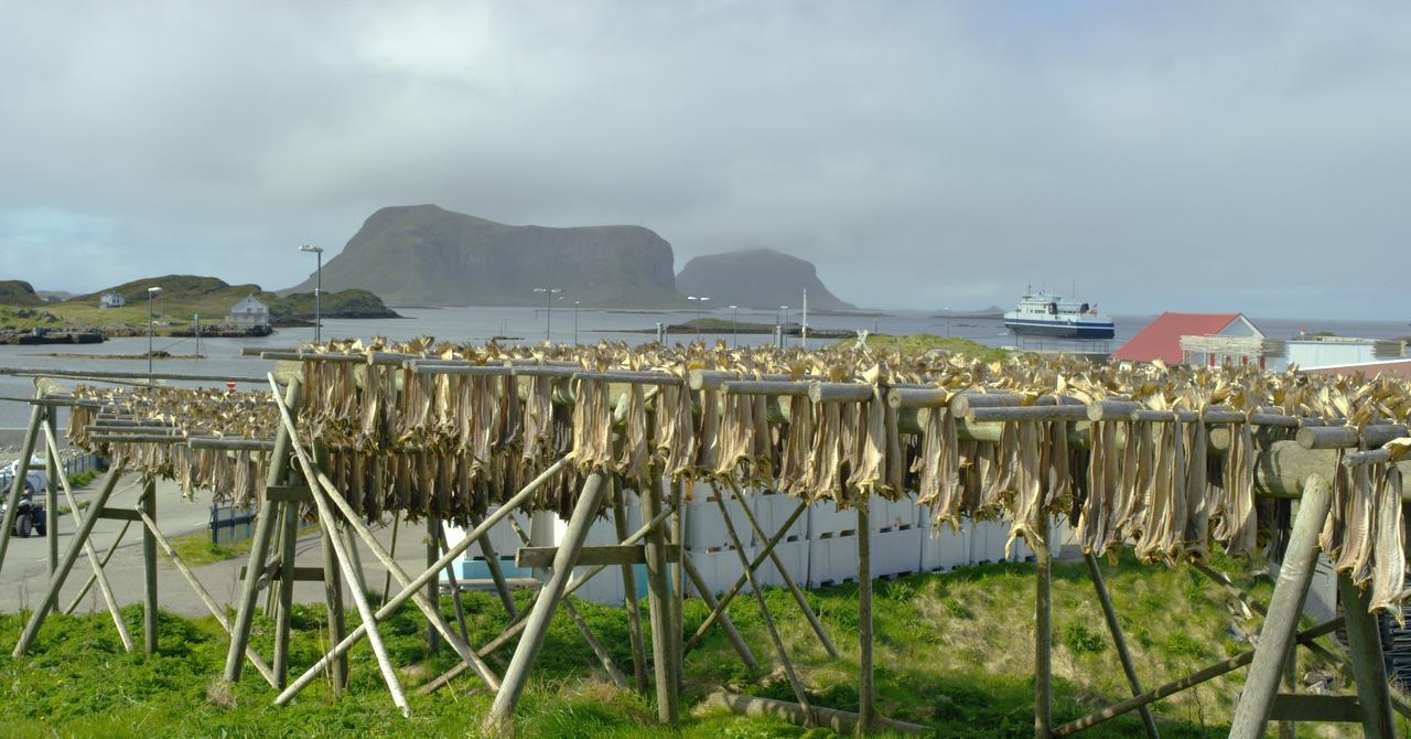 Hotel Fiskarheimen Havly, Røst Extérieur photo