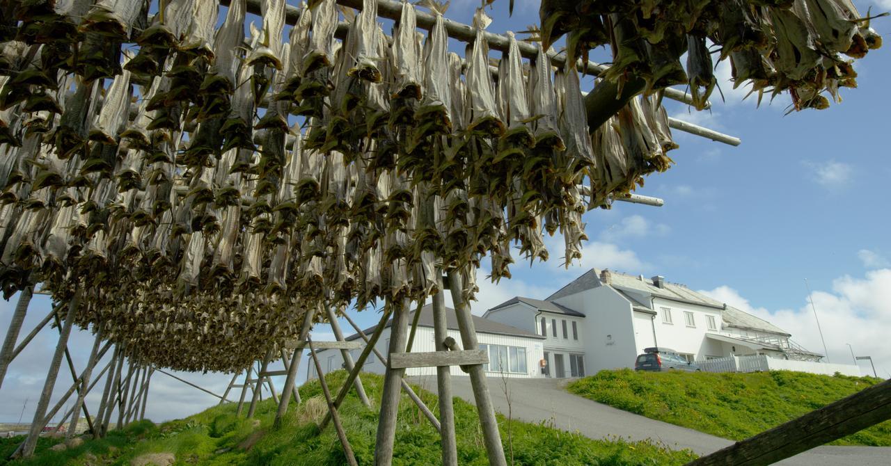 Hotel Fiskarheimen Havly, Røst Extérieur photo